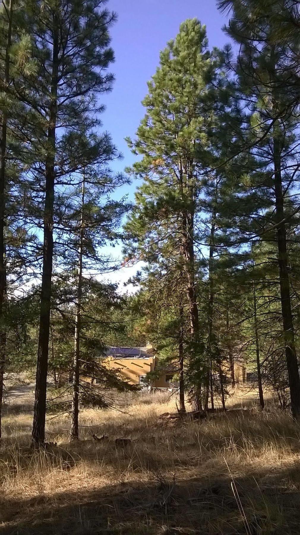 Baergnaescht B&B Osoyoos Kültér fotó